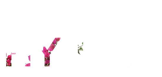 Tiểu khu Hy Lạp