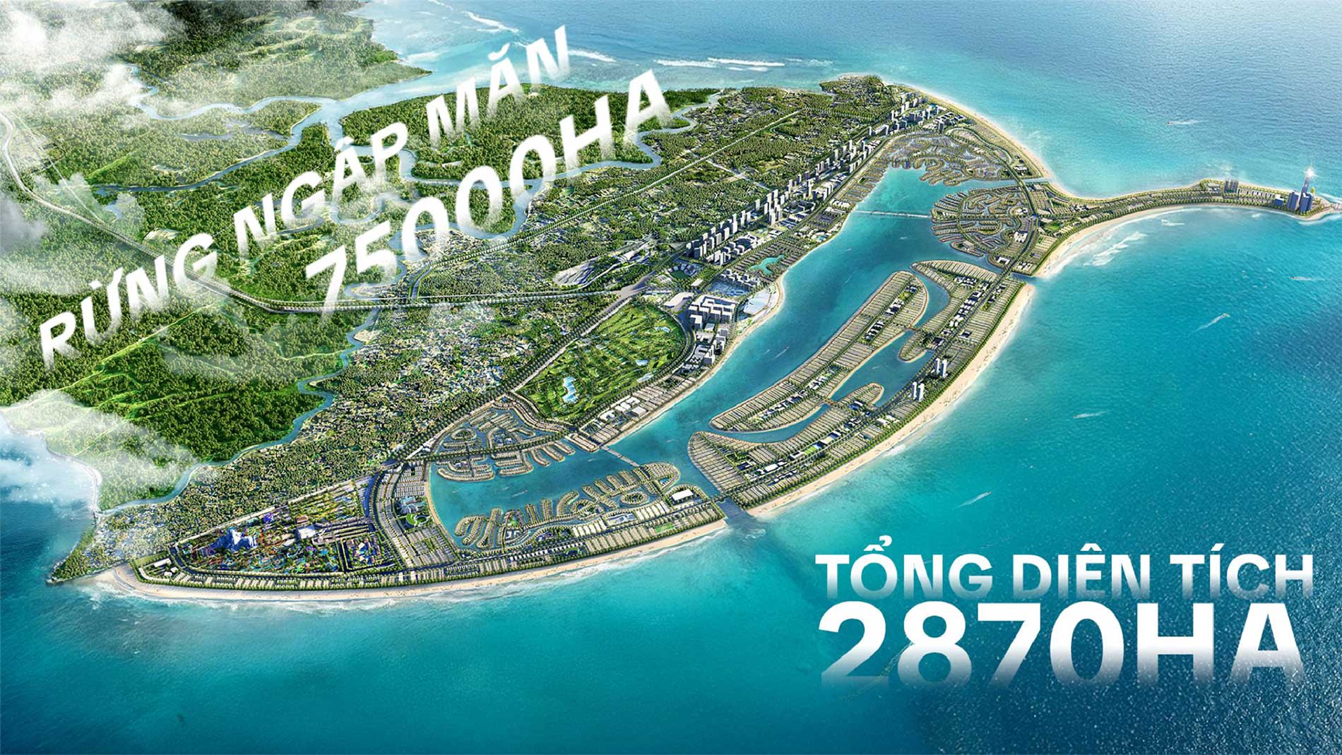 Tổng thể cần giờ